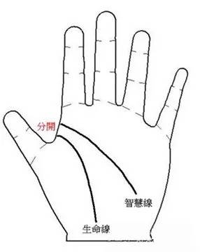 生命线和智慧线起端分开