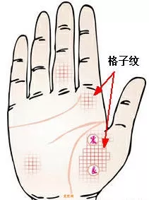 手掌杂纹看命运——格子纹