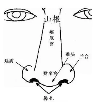 周易鼻子面相图解图片