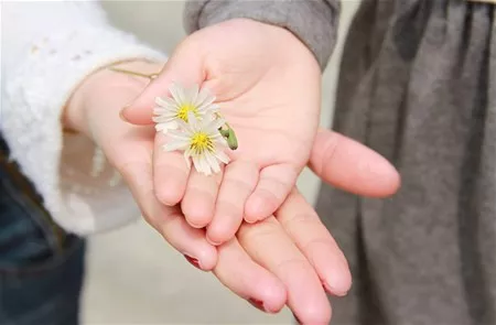 手小的人财运会更好吗？