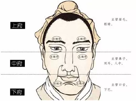 刘恒易经面相图片