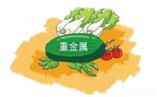 饮食不慎当心重金属超标